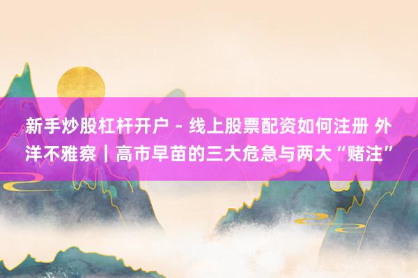 新手炒股杠杆开户 - 线上股票配资如何注册 外洋不雅察｜高市早苗的三大危急与两大“赌注”
