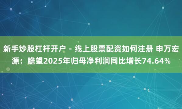 新手炒股杠杆开户 - 线上股票配资如何注册 申万宏源：瞻望2025年归母净利润同比增长74.64%