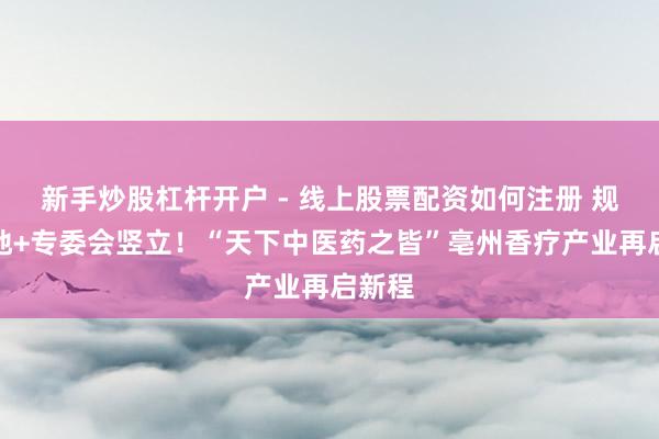 新手炒股杠杆开户 - 线上股票配资如何注册 规范落地+专委会竖立！“天下中医药之皆”亳州香疗产业再启新程