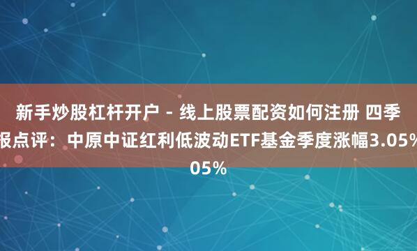 新手炒股杠杆开户 - 线上股票配资如何注册 四季报点评：中原中证红利低波动ETF基金季度涨幅3.05%
