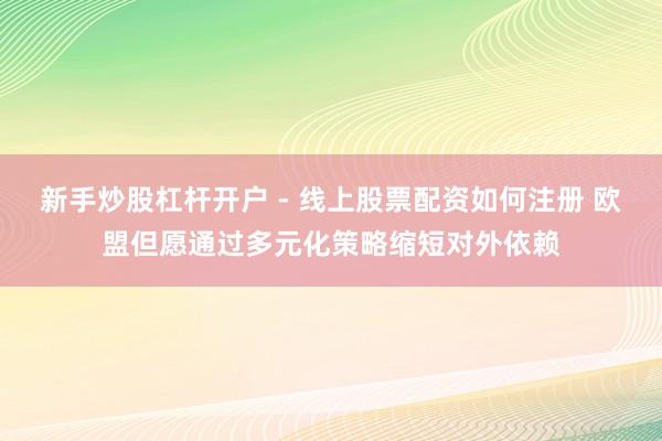 新手炒股杠杆开户 - 线上股票配资如何注册 欧盟但愿通过多元化策略缩短对外依赖