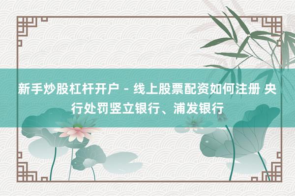 新手炒股杠杆开户 - 线上股票配资如何注册 央行处罚竖立银行、浦发银行
