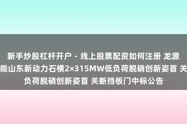 新手炒股杠杆开户 - 线上股票配资如何注册 龙源时刻招标恶果：国能山东新动力石横2×315MW低负荷脱硝创新姿首 关断挡板门中标公告