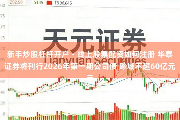 新手炒股杠杆开户 - 线上股票配资如何注册 华泰证券将刊行2026年第一期公司债 畛域不超60亿元