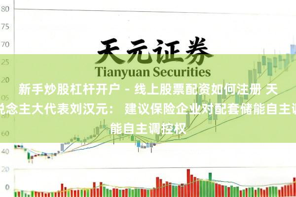 新手炒股杠杆开户 - 线上股票配资如何注册 天下东说念主大代表刘汉元: 建议保险企业对配套储能自主调控权