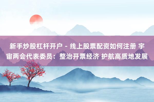 新手炒股杠杆开户 - 线上股票配资如何注册 宇宙两会代表委员:整治开票经济 护航高质地发展