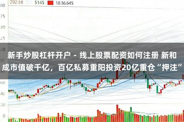 新手炒股杠杆开户 - 线上股票配资如何注册 新和成市值破千亿，百亿私募重阳投资20亿重仓“押注”
