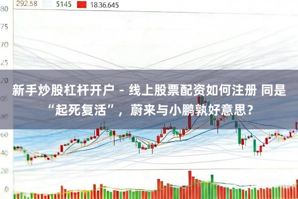 新手炒股杠杆开户 - 线上股票配资如何注册 同是“起死复活”，蔚来与小鹏孰好意思？
