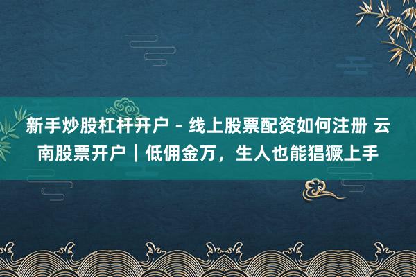 新手炒股杠杆开户 - 线上股票配资如何注册 云南股票开户｜低佣金万，生人也能猖獗上手