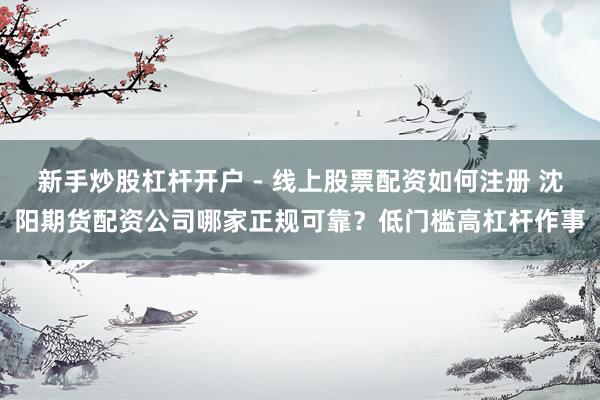 新手炒股杠杆开户 - 线上股票配资如何注册 沈阳期货配资公司哪家正规可靠?低门槛高杠杆作事